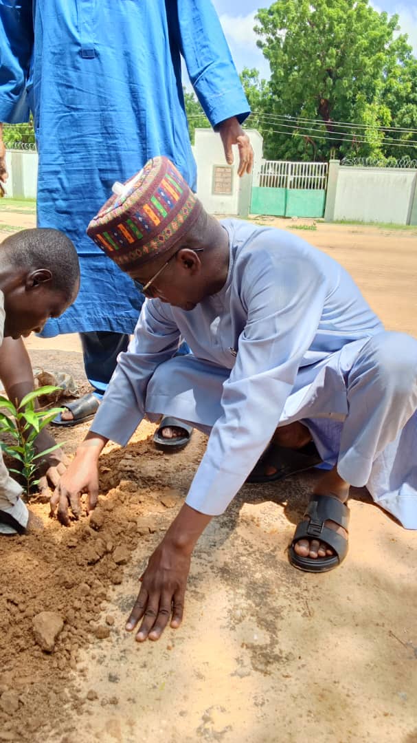 A school representative taking part in the tree planting exercise