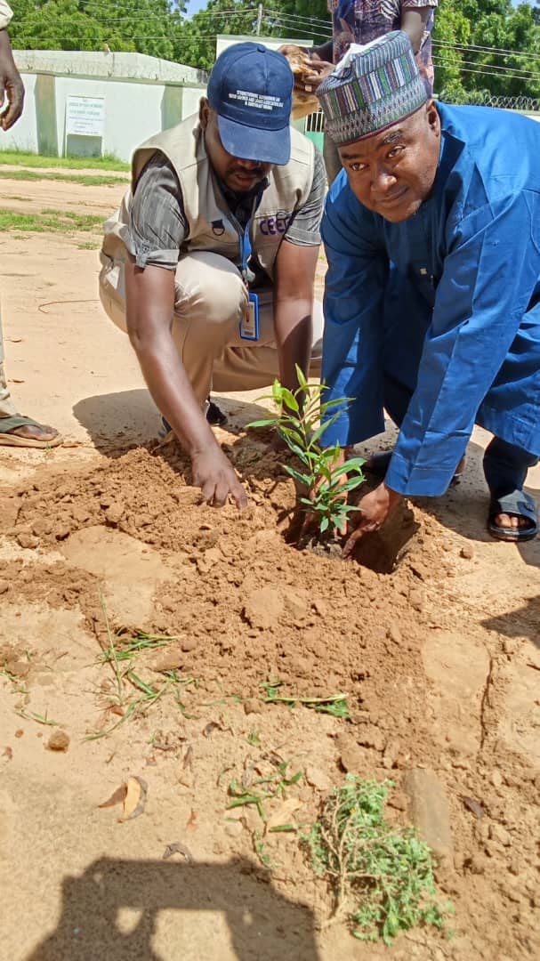 CEER staff and a college representative planting a seedling together